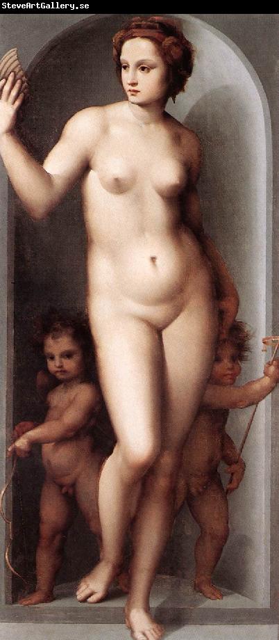 BRESCIANINO, Andrea del Venus and Two Cupids dsf